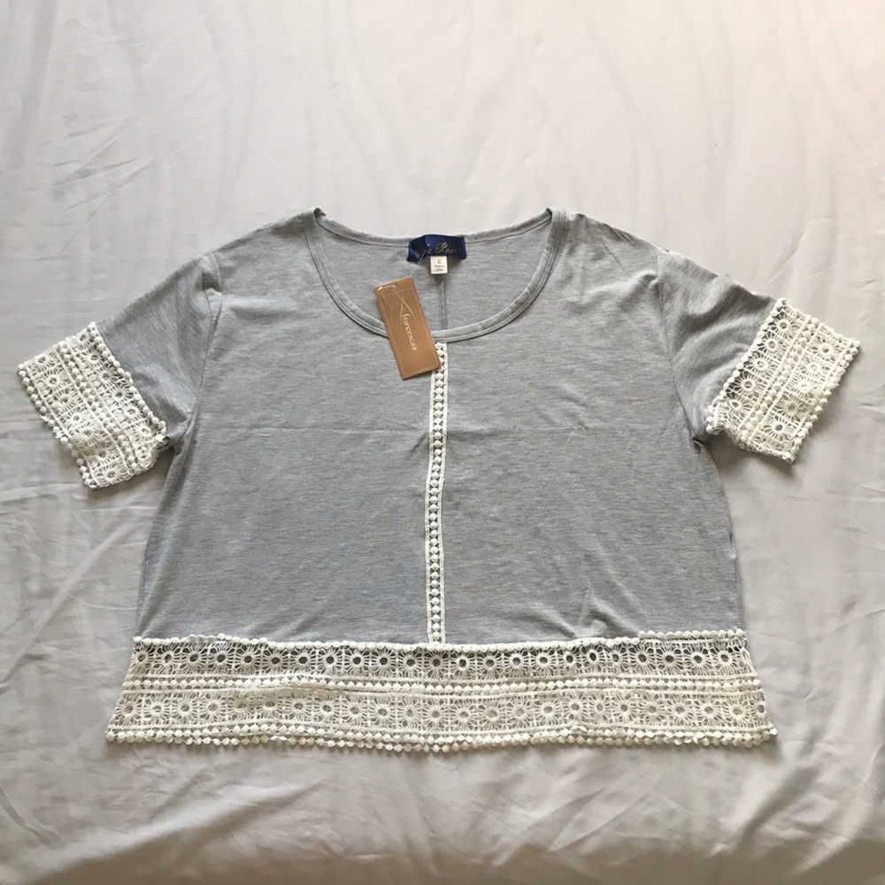 Francesca's Gray Cropped Blouse